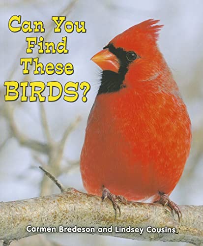 9781464400728: Can You Find These Birds? (All About Nature)