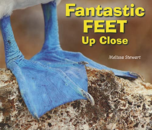 Beispielbild fr Fantastic Feet Up Close (Animal Bodies Up Close) zum Verkauf von SecondSale