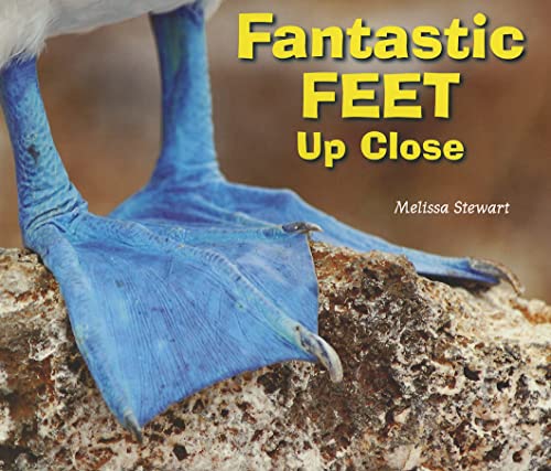 Stock image for Fantastic Feet Up Close (Animal Bodies Up Close) for sale by SecondSale