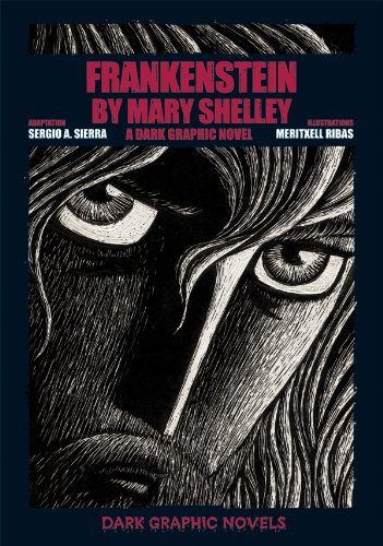 Stock image for Frankenstein by Mary Shelley: A Dark Graphic Novel for sale by ThriftBooks-Atlanta