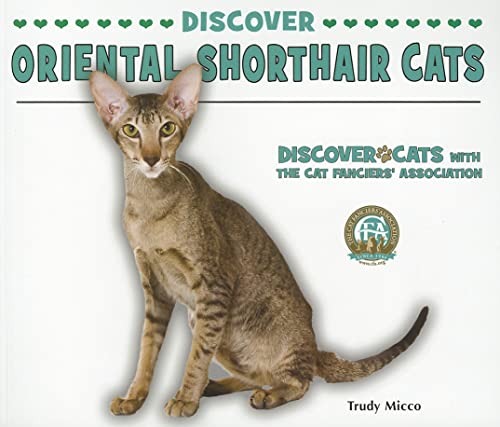 Beispielbild fr Discover Oriental Shorthair Cats zum Verkauf von Majestic Books