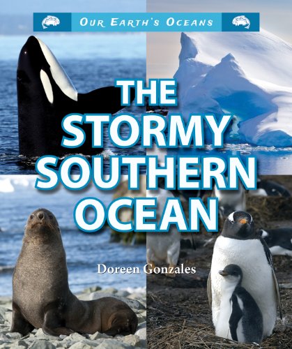 Stock image for The Stormy Southern Ocean (Our Earth's Oceans (Enslow)) for sale by Buyback Express