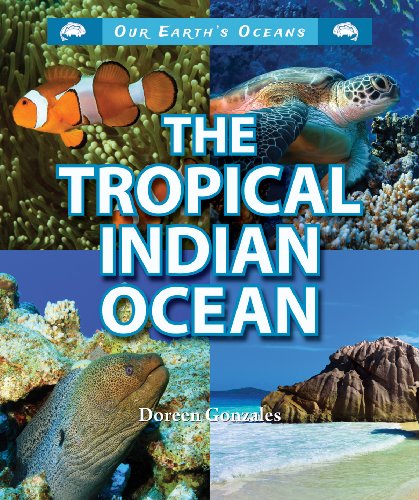 Stock image for The Tropical Indian Ocean (Our Earth's Oceans (Enslow)) for sale by Buyback Express
