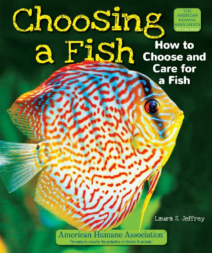 Stock image for Choosing a Fish : How to Choose and Care for a Fish for sale by Better World Books
