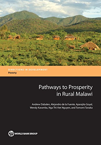 Imagen de archivo de Pathways to Prosperity in Rural Malawi (Directions in Development - Poverty) a la venta por Lucky's Textbooks