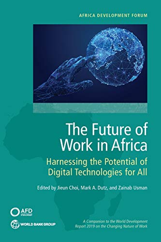 Beispielbild fr The Future of Work in Africa zum Verkauf von Blackwell's