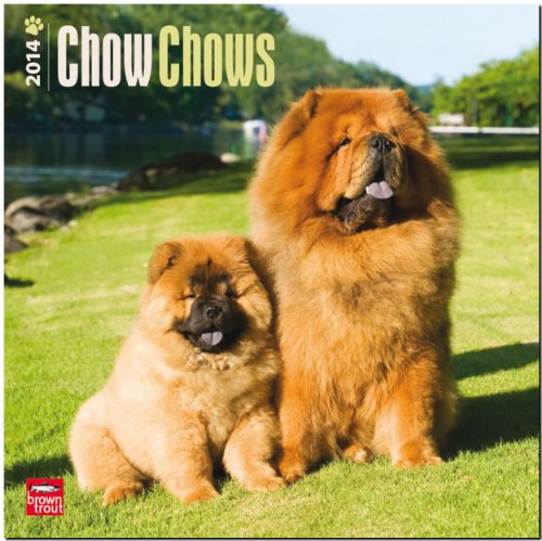 Imagen de archivo de Chow Chows 2014 Calendar, 18-Month Calendar (Multilingual Edition) a la venta por Save With Sam