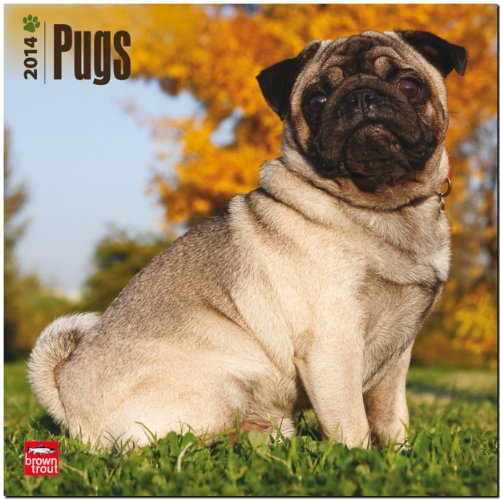 9781465012203: Pugs Calendar 2014