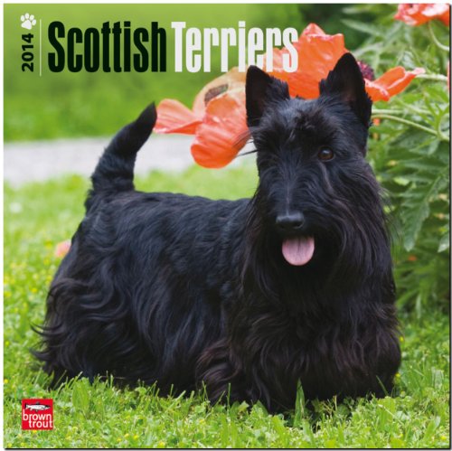 9781465012531: Scottish Terriers 2014 Wall