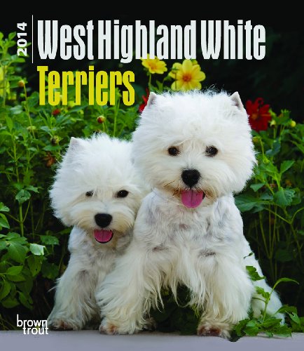 Beispielbild fr West Highland White Terriers 2014 Desk Diary zum Verkauf von Buchpark