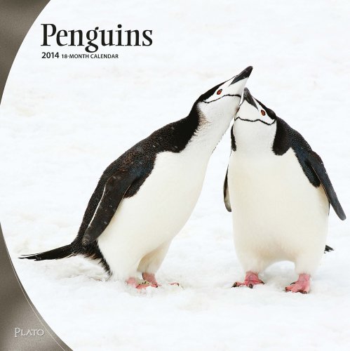 Penguins 2014 Square 12x12 (9781465019042) by NOT A BOOK