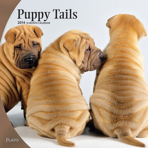 Puppy Tails 2014 Square 12x12 (9781465021595) by NOT A BOOK