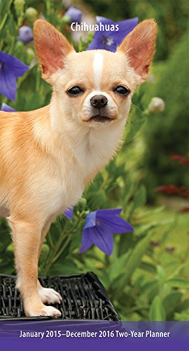 Beispielbild fr Chihuahuas 2015-2016 Two-Year Planner zum Verkauf von Buchpark