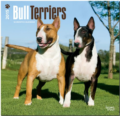 9781465026200: Bull Terriers 2015 Wall