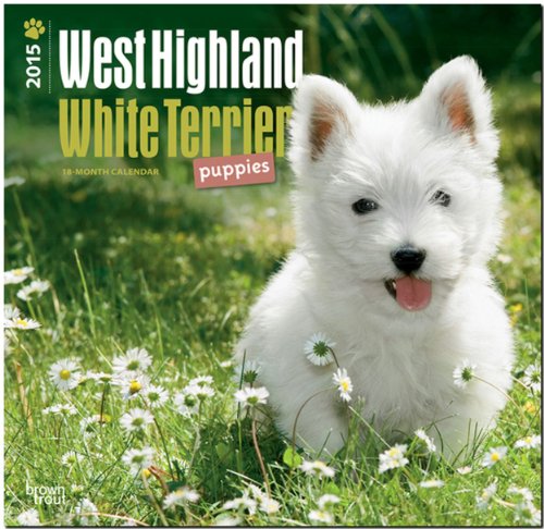 9781465027214: West Highland White Terrier Puppies 2015 Wall