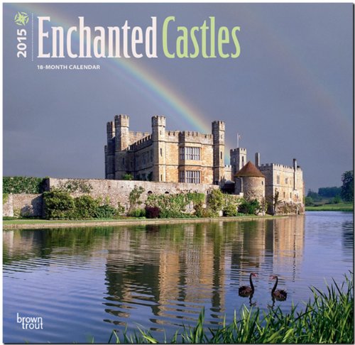 9781465028143: Enchanted Castles 18-Month 2015 Calendar