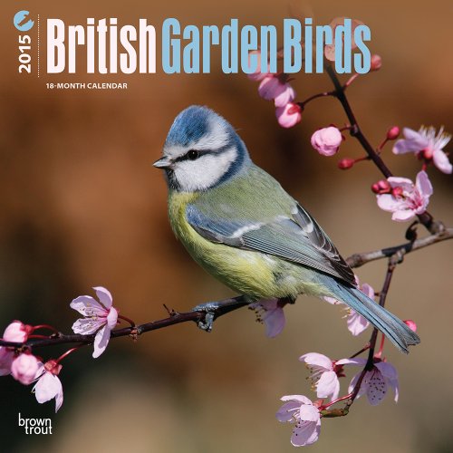 9781465028440: British Garden Birds 2015 Wall