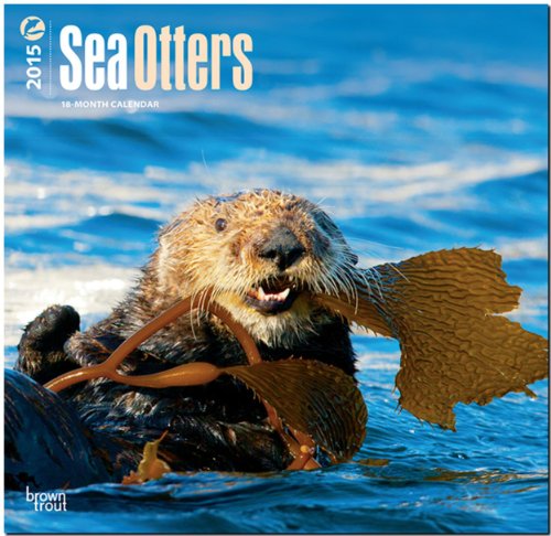 9781465031839: Sea Otters 2015 Square 12x12