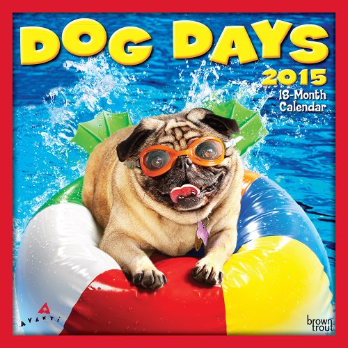 9781465032614: Dog Days 2015 Wall by Avanti