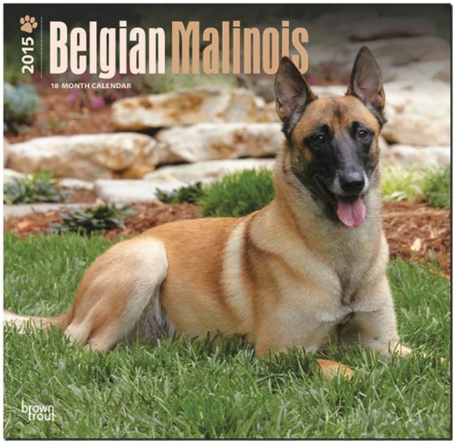 9781465033819: Belgian Malinois 2015 Wall Calendar