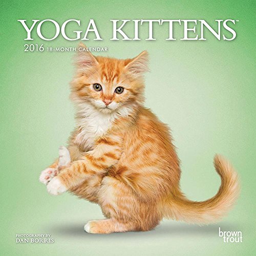 9781465039484: Yoga Kittens 2016 Mini Wall