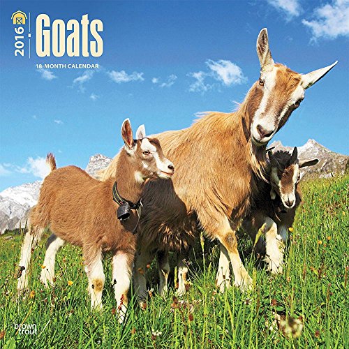 9781465040985: Goats 2016 Calendar