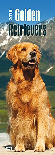 9781465048363: Golden Retrievers 2016 Slim