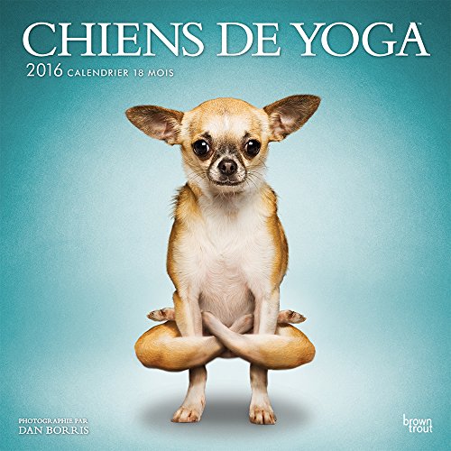 9781465050755: Yoga Dogs - Chiens De Yoga 2016 Calendar