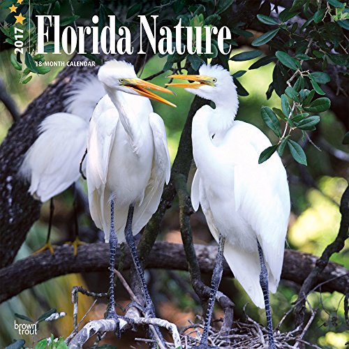 9781465054241: Florida Nature 2017 Square