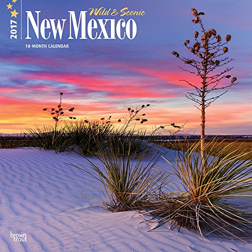 9781465054487: Wild & Scenic New Mexico 2017 Calendar