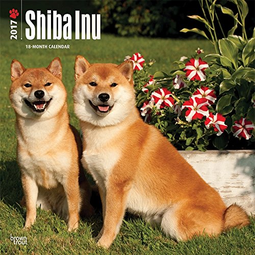 9781465056238: Shiba Inu 2017 Calendar