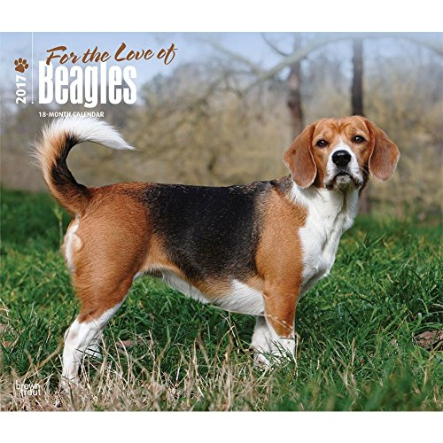 9781465080493: Beagles, for the Love of 2017 Calendar