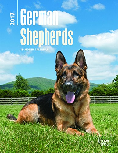 Beispielbild fr German Shepherds 2017 Desk Diary zum Verkauf von Buchpark