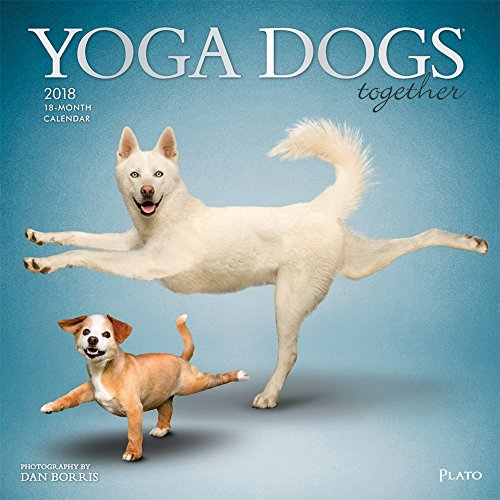 9781465092021: Yoga Dogs Together 2018 Calendar