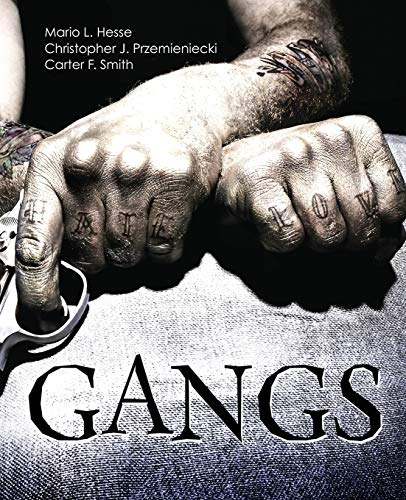 Imagen de archivo de Gangs a la venta por Books Unplugged