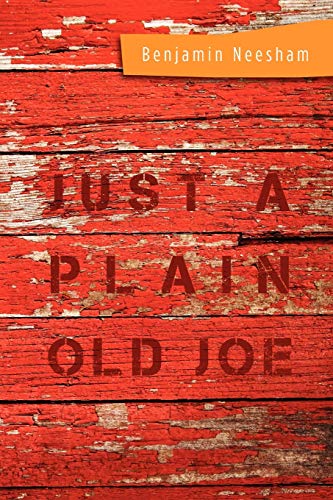 9781465359599: Just a Plain Old Joe