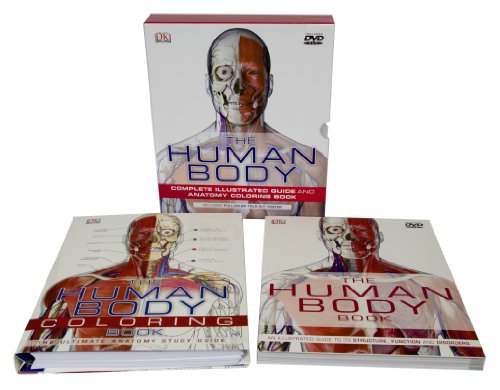 Stock image for The Human Body w/DVD. Complete Illustrated Guide and Anatomy Coloring Book 2-Volume Box Set, Including full-color fold-out poster for sale by Gulf Coast Books