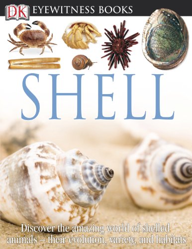 Stock image for DK Eyewitness Books: Shell : Shell for sale by Better World Books
