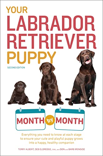 Imagen de archivo de Your Labrador Retriever Puppy Month by Month, 2nd Edition: Everything you need to know at each stage to ensure your cute & playful puppy gr a la venta por More Than Words