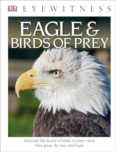 Stock image for DK Eyewitness Books: Eagle and Birds of Prey: Discover the World of Birds of Prey How They Grow, Fly, Live, and Hunt for sale by ThriftBooks-Atlanta