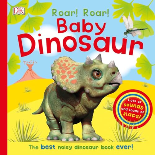 9781465453907: Roar! Roar! Baby Dinosaur: The Best Noisy Dinosaur Book Ever!