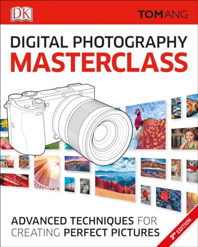 Beispielbild fr Digital Photography Masterclass: Advanced Photographic Techniques for Creating Perfect Pictures zum Verkauf von Goodwill Books