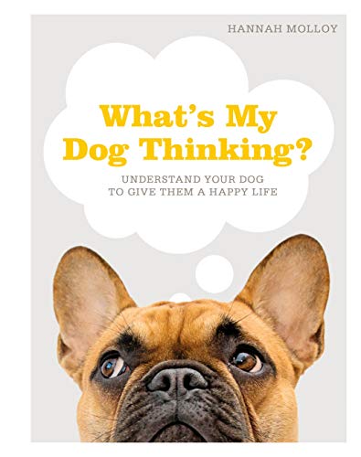 Beispielbild fr What's My Dog Thinking?: Understand Your Dog to Give Them a Happy Life zum Verkauf von SecondSale
