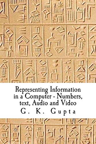 Imagen de archivo de Representing Information in a Computer: Numbers, Text, Audio and Video a la venta por THE SAINT BOOKSTORE