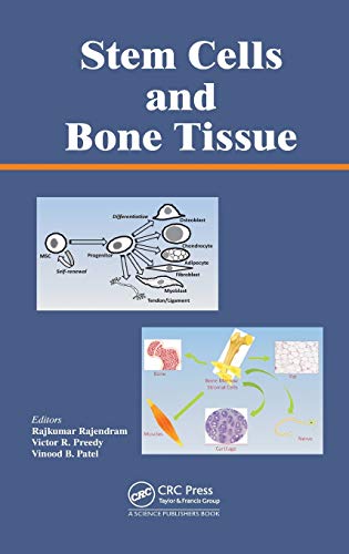 Imagen de archivo de Stem Cells and Bone Tissue a la venta por The Book Corner