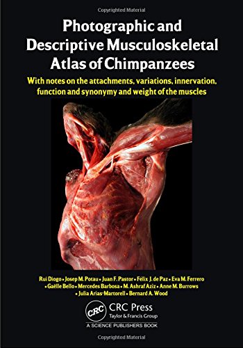 Imagen de archivo de Photographic and Descriptive Musculoskeletal Atlas of Chimpanzees: With Notes on the Attachments, Variations, Innervation, Function and Synonymy and Weight of the Muscles a la venta por Basi6 International
