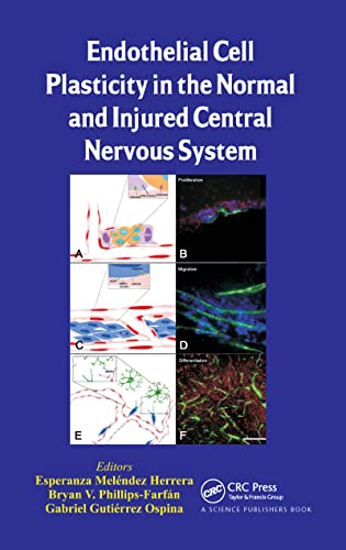 Imagen de archivo de Endothelial Cell Plasticity in the Normal and Injured Central Nervous System a la venta por Basi6 International