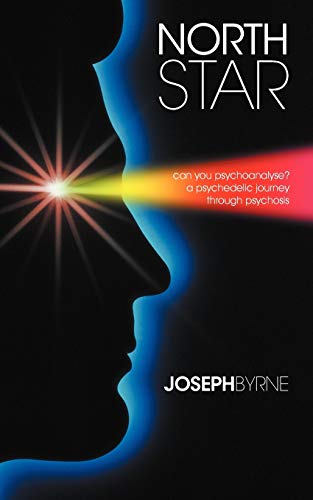 Stock image for North Star: Can You Psychoanalyse? a Psychedelic Journey Through Psychosis for sale by Chiron Media