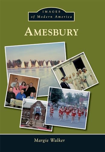 Beispielbild fr Amesbury zum Verkauf von ThriftBooks-Atlanta