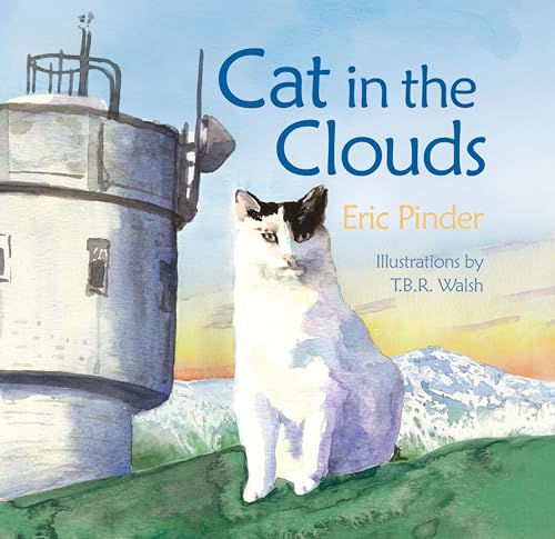 9781467138482: Cat in the Clouds
